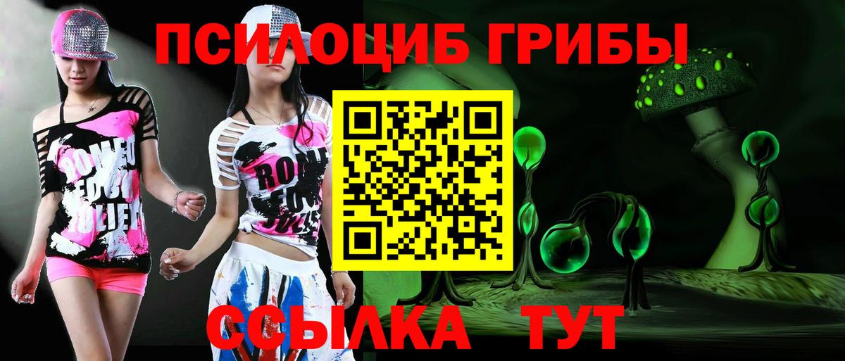 Саянск  Галлюциногенные грибы Psilocybe  Вход с VPN 